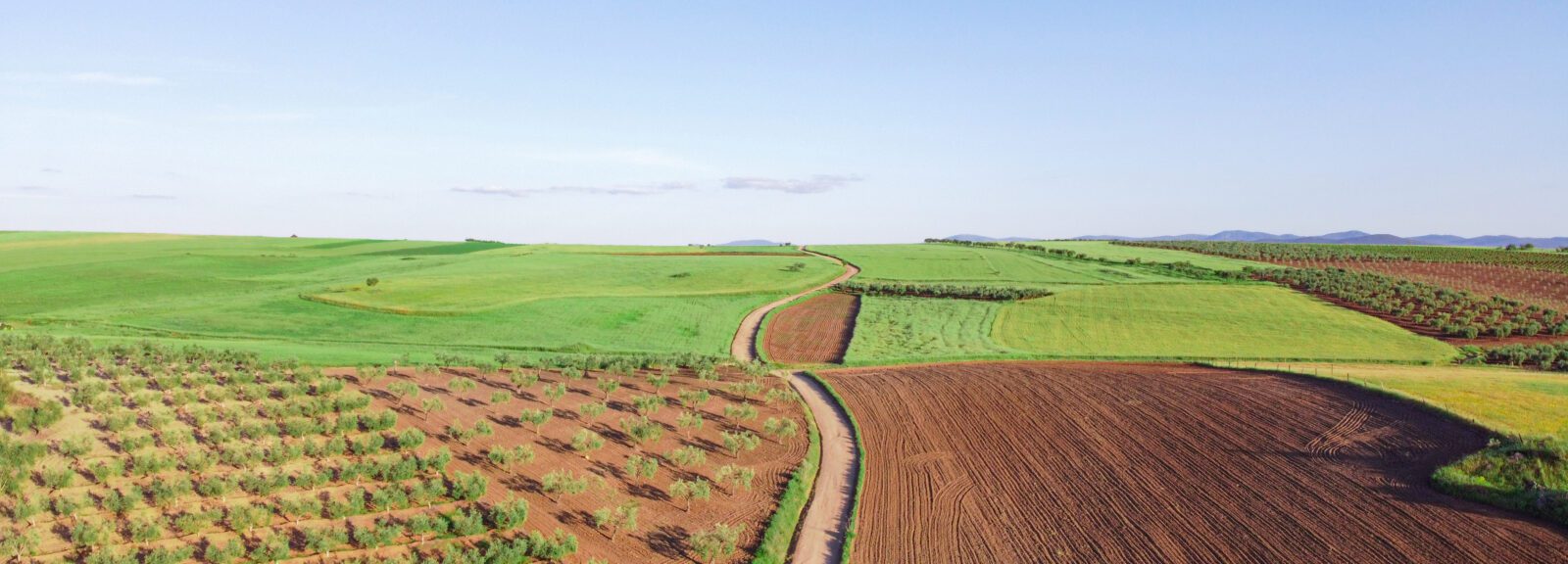 Recruit Agricultural Manpower from Pakistan for Saudi Arabia