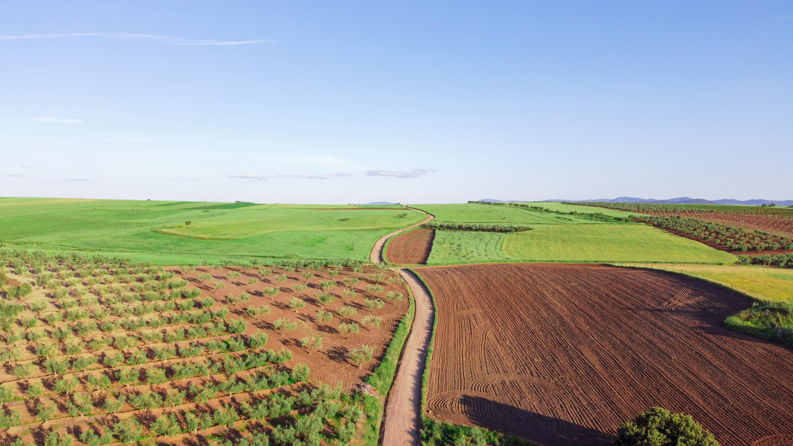 Recruit Agricultural Manpower from Pakistan for Saudi Arabia