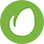 icon envato