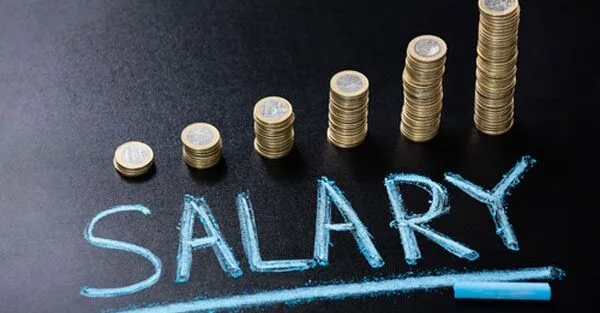 The Importance of Salary Surveys for Overseas Employers and How Recruiting Agencies in Pakistan Can Assist