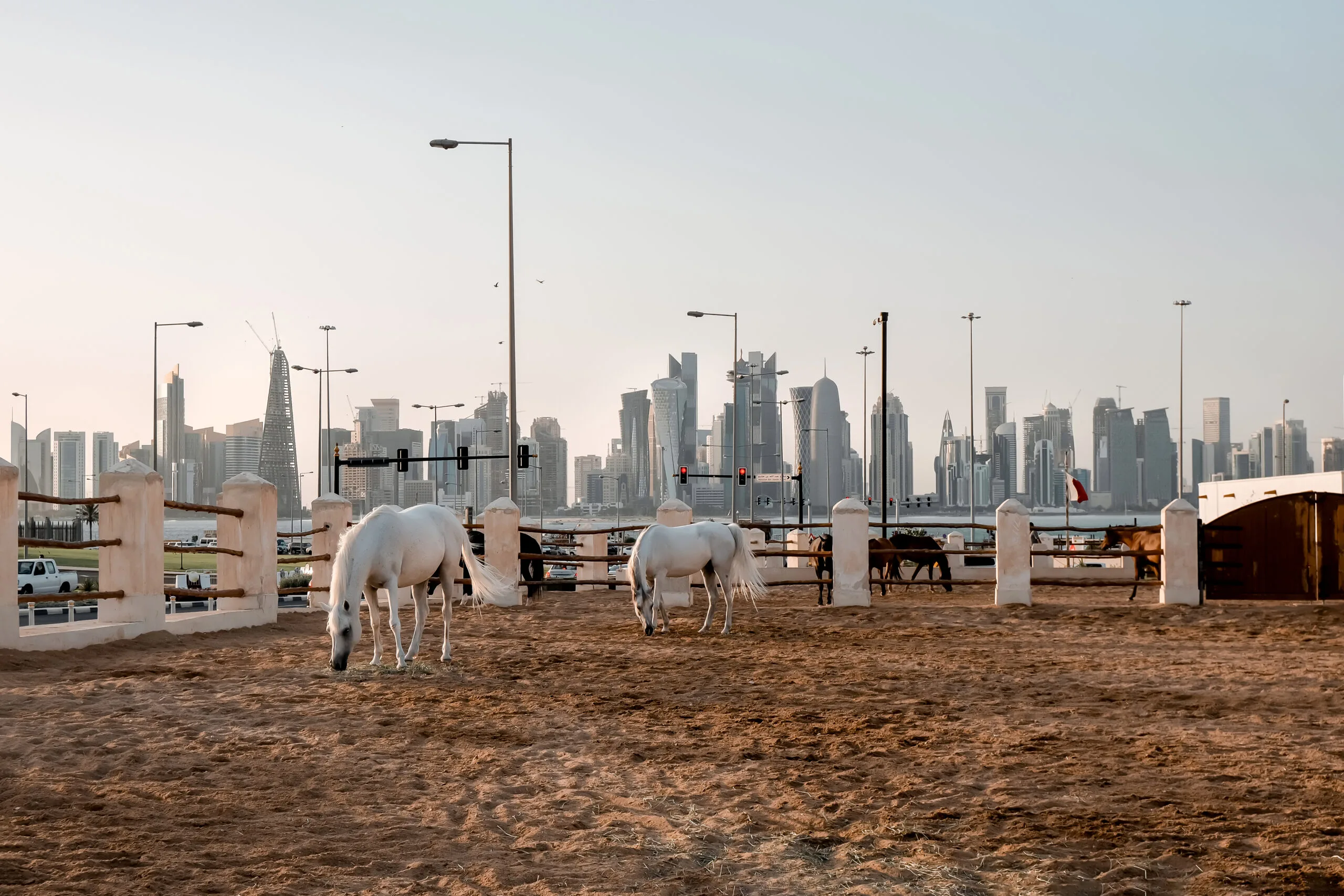 Qatar Visa on Arrival for Pakistani Nationals